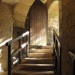 Into-the-Light