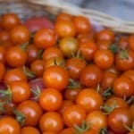 Friday Food Foto - Freshly picked tomatoes