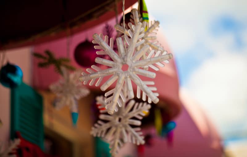 (Not quite) Wordless Wednesday #177: Capturing the Holiday