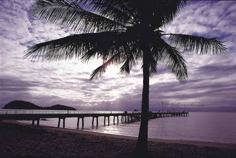 palm-cove
