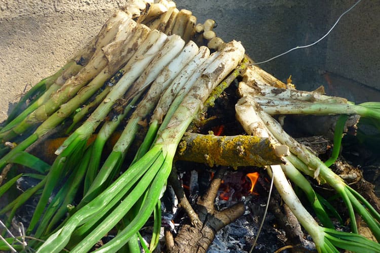 Calçotada Calçotada
