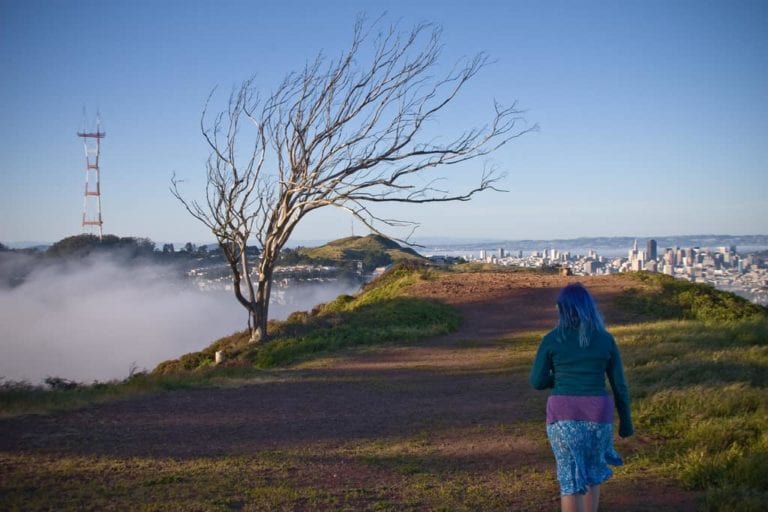San Francisco from Mt. Davidson