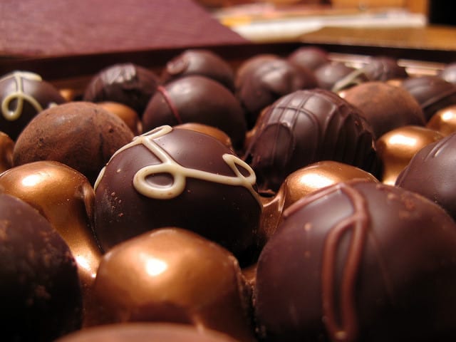 GODIVA-Chocolate-by-Remcat-WoofBC GODIVA-Chocolate-by-Remcat-WoofBC