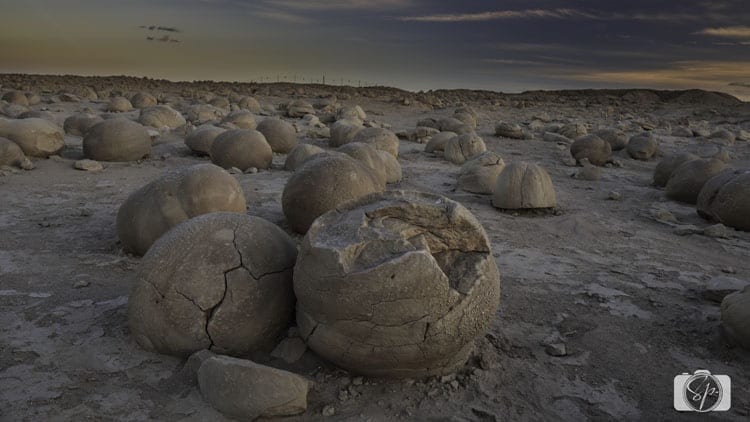 Pumpkin-Patch-ANZA-BORREGO-DESERT Pumpkin-Patch-ANZA-BORREGO-DESERT