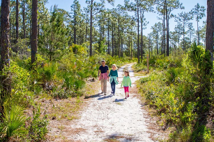 Orlando Travel Tips Nature - University of Central Florida Arboretum Orlando Travel Tips Nature - University of Central Florida Arboretum