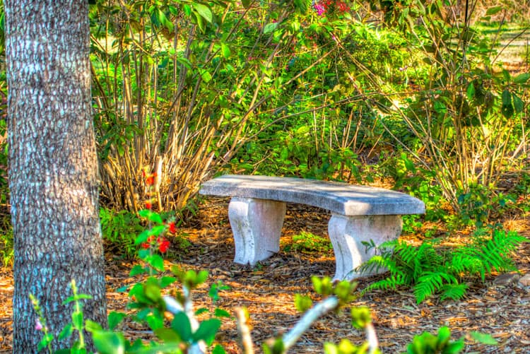 Orlando Travel Tips Nature Orlando Travel Tips Nature