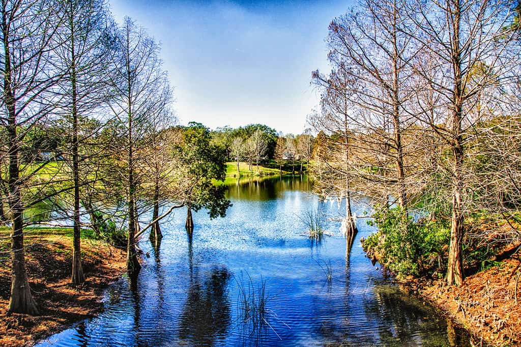 Orlando Travel Tips 7 Places for Nature Lovers