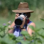 Birding in Box Elder County - Photography at Bear River Migratory Bird Refuge