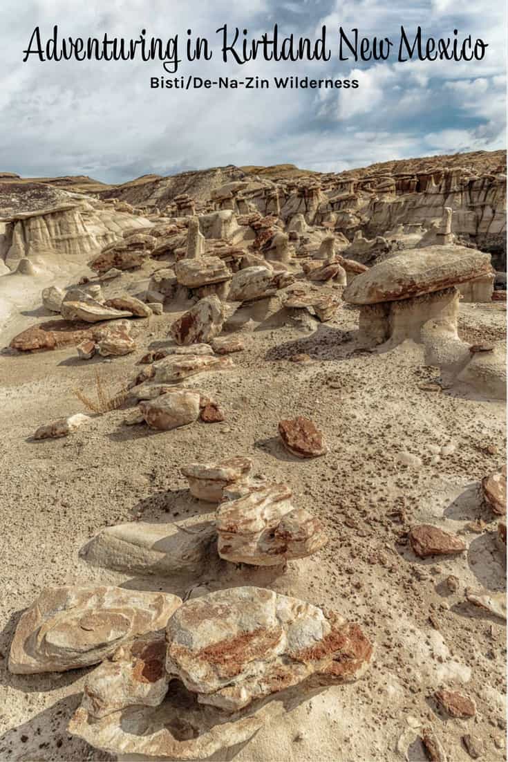 Adventuring in Kirtland New Mexico Misadventures with Andi