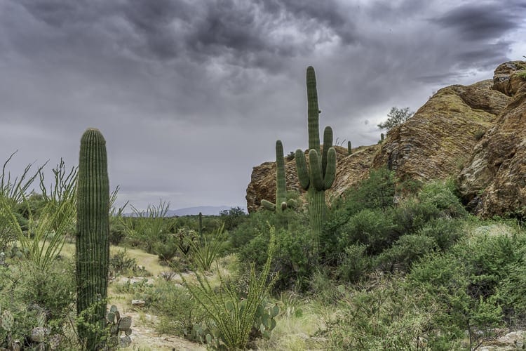 Weekend Explorations Things to do in Tucson Misadventures with Andi