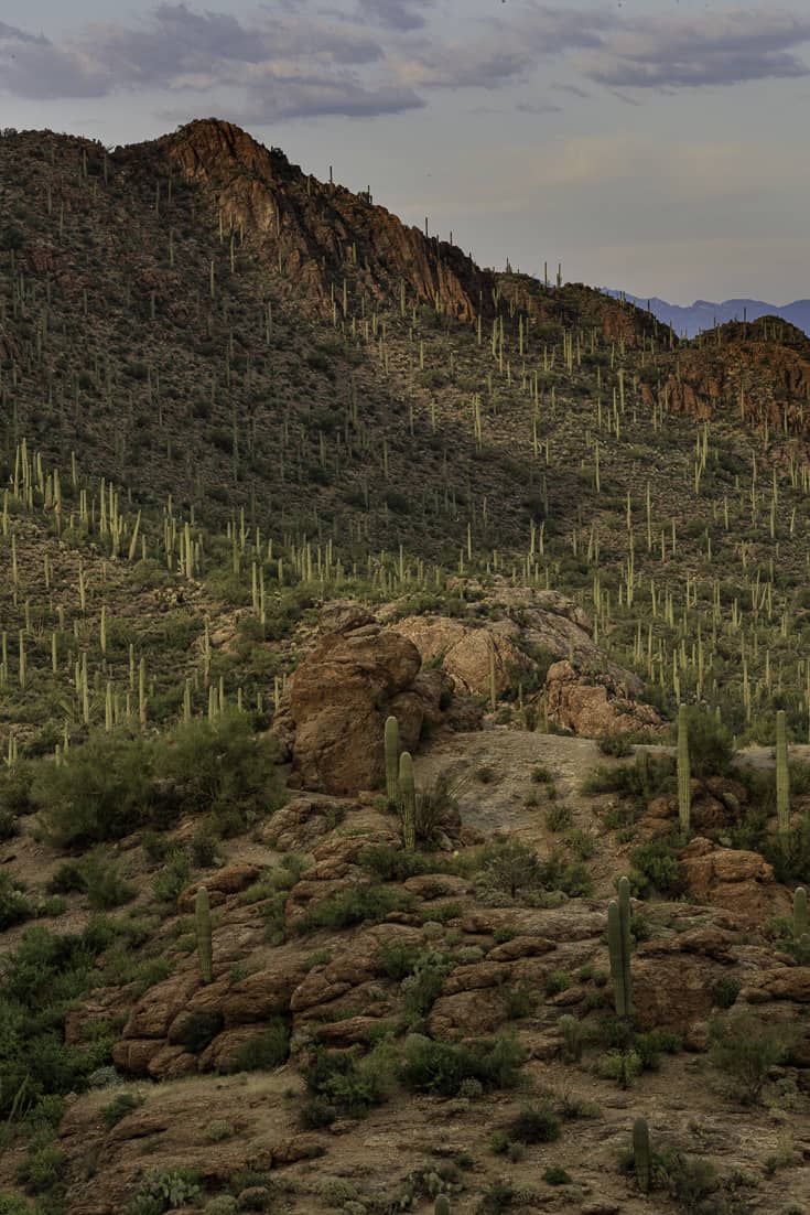 Things to do in Tucson - Sunset at Gates Pass Things to do in Tucson - Sunset at Gates Pass