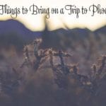 7 Things to Bring on a Trip to Phoenix