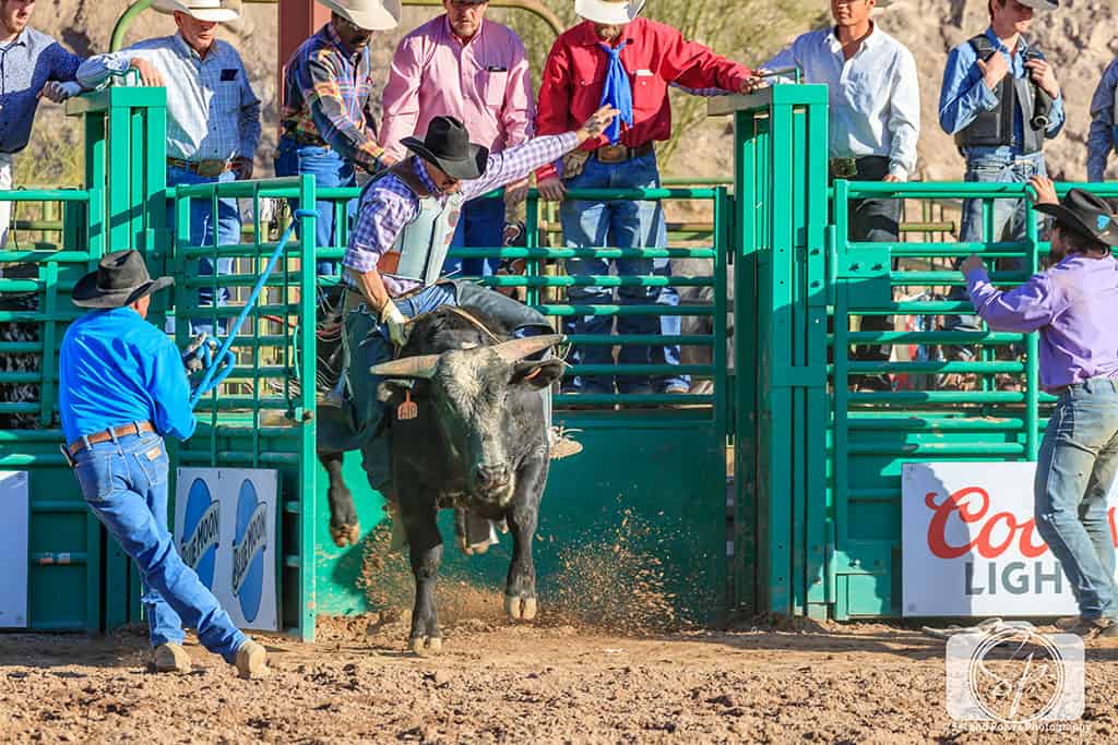 Arizona Weekend Adventures Rodeos! Misadventures with Andi