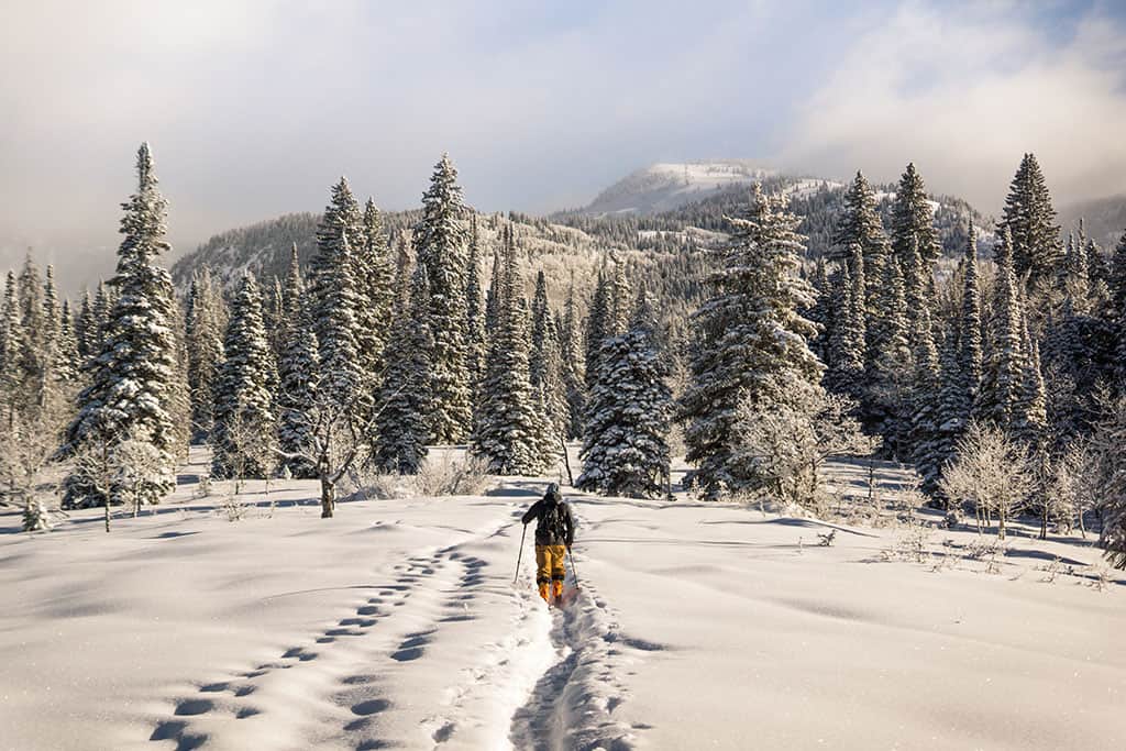 Crushing on Colorado_SnowShoeing_Photo by Steven Ramon on Unsplash Crushing on Colorado_SnowShoeing_Photo by Steven Ramon on Unsplash