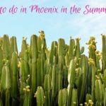 What to do in Phoenix in the Summertime