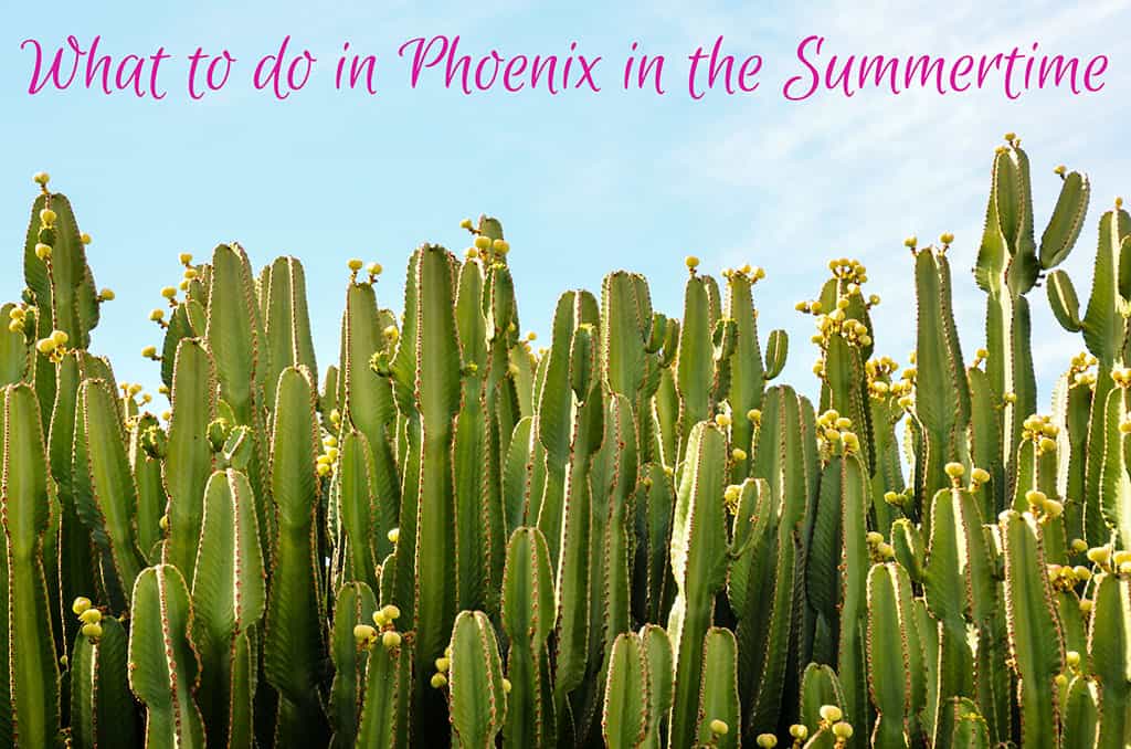 What to do in Phoenix in the Summertime - Misadventures with Andi