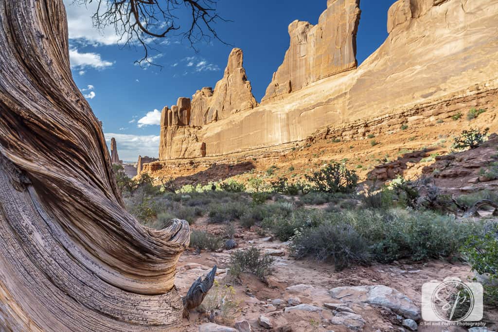 Arches National Park Misadventures With Andi