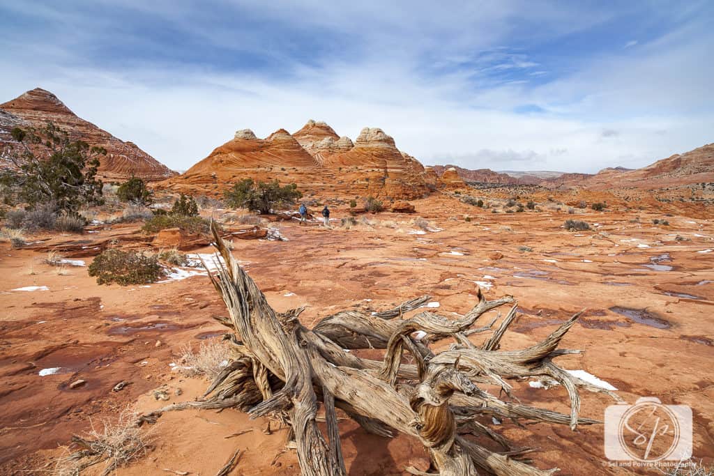 The Wave in the Winter - Arizona USA The Wave in the Winter - Arizona USA