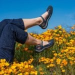 Andi amongst the Poppies at Santa Catalina Stae Park in Arizona in her Jambu Cherry Blossom Shoes in Navy-hero