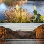 Blazing the Apache the Apache Trail Arizona USA