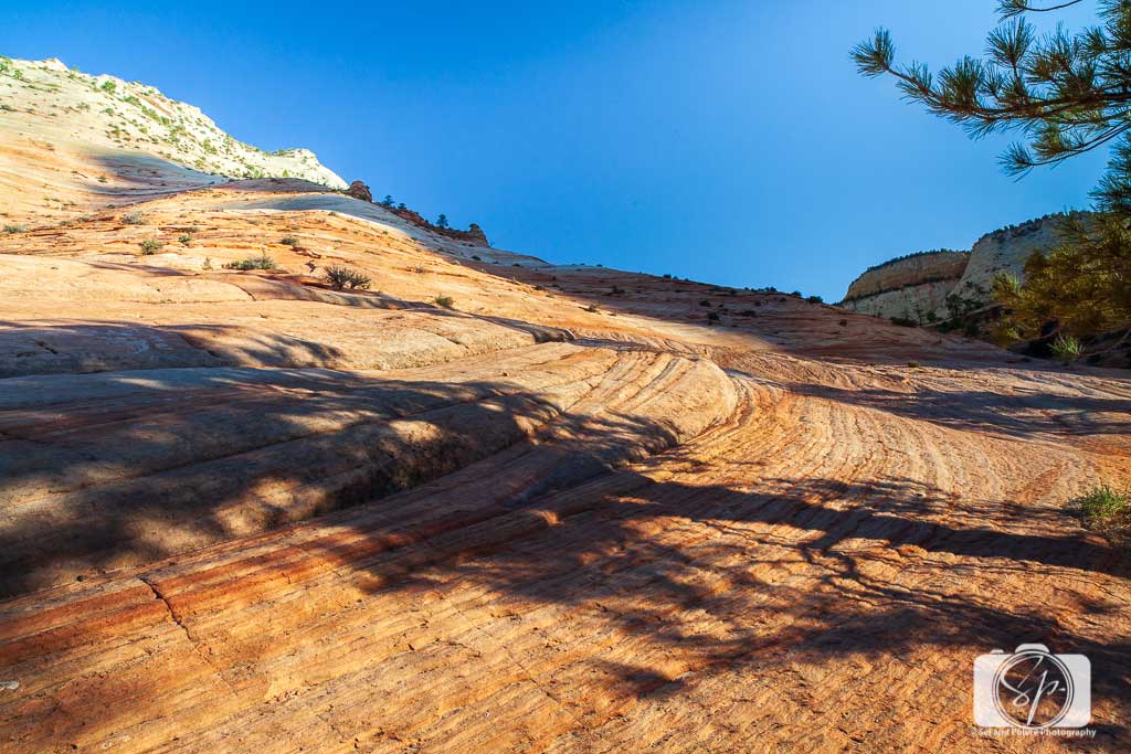 Checkboard-Mesa-at-Zion-National-Park-Utah-USA Checkboard-Mesa-at-Zion-National-Park-Utah-USA