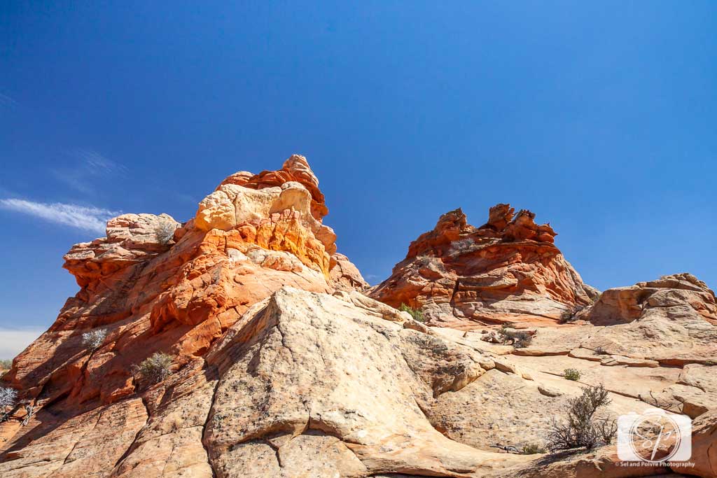 South-Coyote-Buttes-Arizona-USA South-Coyote-Buttes-Arizona-USA