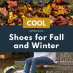 Cool shoes for fall and winter - Jambu Eagle
