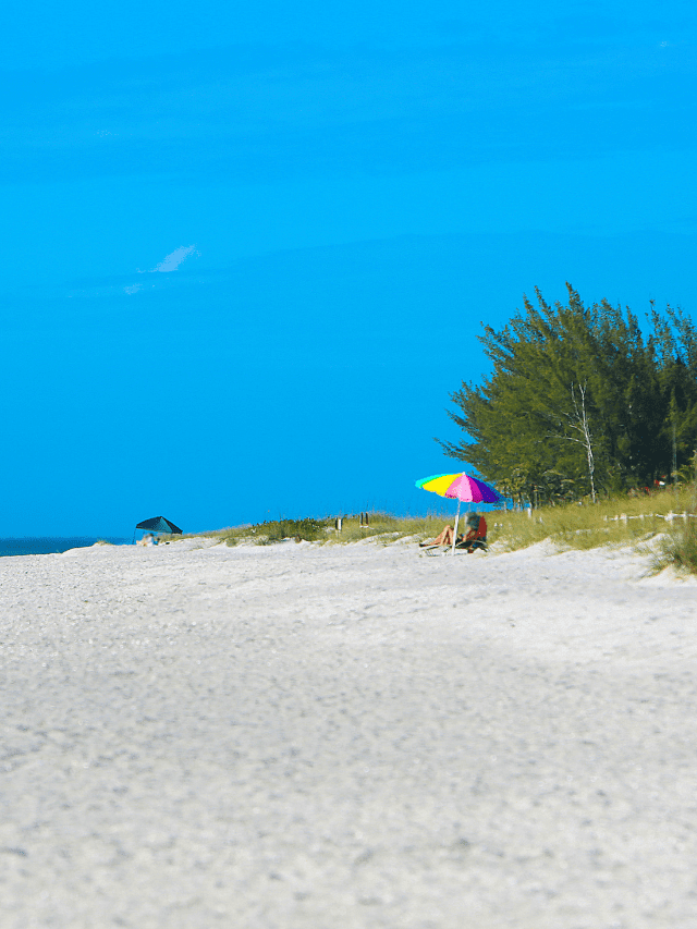 Things to Do in Fort Myers Florida Story