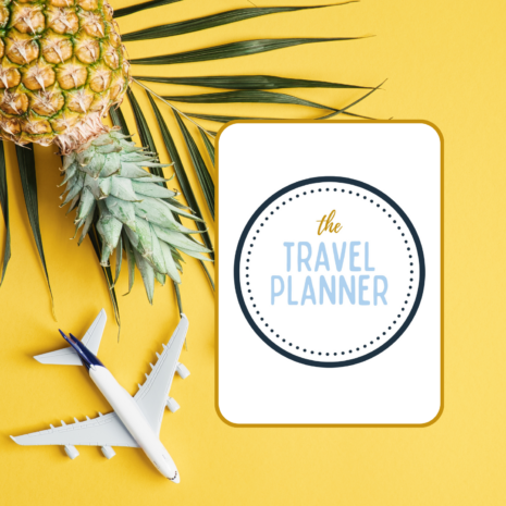 20-page Travel Planner Cover 4 pineapple, toy airplane and e-book with digital trael planner