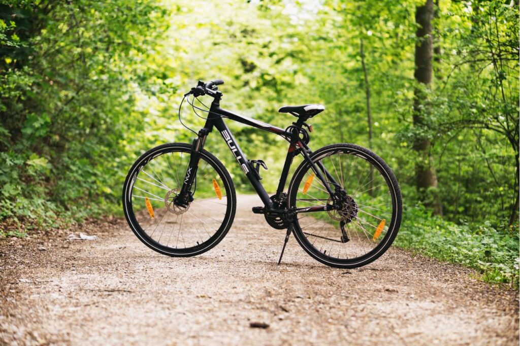 bike on a forest trail